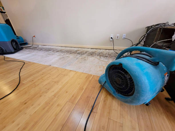 Professional Emergency Water Damage technician working in Pelham, GA